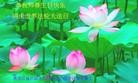 Published on 5/13/2013 ֹ,½󷨵ӹʦ𻪵߷ִ(34)
