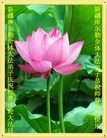 Published on 5/13/2013 ֹ,½󷨵ӹʦ𻪵߷ִ(83)
