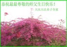 Published on 5/13/2013 ֹ,½󷨵ӹʦ𻪵߷ִ(83)
