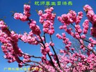 Published on 5/13/2013 ֹ,󷨵ӹʦ𻪵߷ִ(23)
