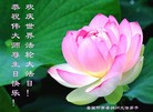 Published on 5/13/2013 ֹ,в󷨵ӹףʦ𻪵߷ִ
