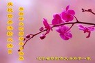 Published on 5/14/2013 ֹ,󷨵ӹʦ𻪵߷ִ(28)
