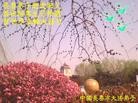 Published on 5/14/2013 ֹ,½󷨵ӹʦ𻪵߷ִ(31)
