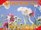 Published on 5/14/2013 ֹ,«󷨵ӹʦ𻪵߷ִ(20)
