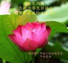 Published on 5/14/2013 ֹ,½󷨵ӹʦ𻪵߷ִ(31)
