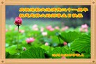 Published on 5/13/2013 ֹ,½󷨵ӹʦ𻪵߷ִ(39)
