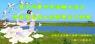 Published on 5/14/2013 ֹ,ʡ󷨵ӹʦ𻪵߷ִ(18)
