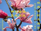 Published on 5/14/2013 ֹ,󷨵ӹʦ𻪵߷ִ(23)
