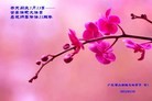 Published on 5/14/2013 ֹ,㶫󷨵ӹʦ𻪵߷ִ(26)
