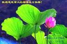 Published on 5/14/2013 ֹ,󷨵ӹʦ𻪵߷ִ(21)
