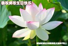 Published on 5/14/2013 ֹ,ձ¼´󷨵ӹʦ𻪵߷ִ

