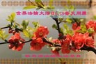 Published on 5/14/2013 ֹ,ϴ󷨵ӹʦ𻪵߷ִ(20)
