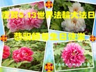 Published on 5/14/2013 ֹ,ϴ󷨵ӹʦ𻪵߷ִ(20)
