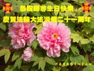 Published on 5/14/2013 ֹ,ϴ󷨵ӹʦ𻪵߷ִ(20)
