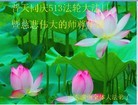 Published on 5/13/2013 ֹ,½󷨵ӹʦ𻪵߷ִ(51)
