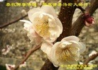 Published on 5/14/2013 ֹ,人󷨵ӹʦ𻪵߷ִ(25)
