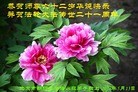 Published on 5/13/2013 ֹ,½󷨵ӹʦ𻪵߷ִ(32)
