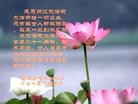 Published on 5/14/2013 ֹ,󷨵ӹʦ𻪵߷ִ(21)
