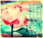 Published on 5/14/2013 ֹ,󷨵ӹʦ𻪵߷ִ(26)
