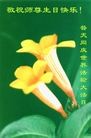 Published on 5/14/2013 ֹ,ɽд󷨵ӹʦ𻪵߷ִ(12)
