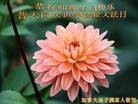 Published on 5/14/2013 ֹ,ô󷨵ӹʦ𻪵߷ִ

