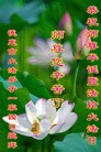 Published on 5/14/2013 ֹ,½󷨵ӹʦ𻪵߷ִ(36)
