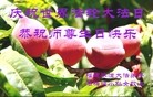 Published on 5/13/2013 ֹ,󷨵ӹʦ𻪵߷ִ(27)
