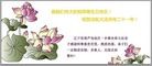 Published on 5/14/2013 ֹ,«󷨵ӹʦ𻪵߷ִ(20)
