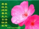 Published on 5/13/2013 ֹ,½󷨵ӹʦ𻪵߷ִ(34)

