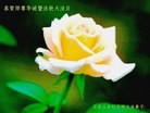 Published on 5/14/2013 ֹ,ʯׯ󷨵ӹʦ𻪵߷ִ(27)
