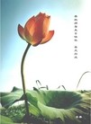 Published on 5/14/2013 ֹ,ձ¼´󷨵ӹʦ𻪵߷ִ
