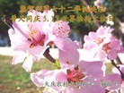 Published on 5/14/2013 ֹ,󷨵ӹʦ𻪵߷ִ(26)
