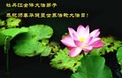 Published on 5/14/2013 ֹ,½󷨵ӹʦ𻪵߷ִ(31)
