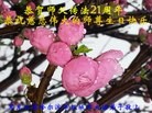 Published on 5/14/2013 ֹ,½󷨵ӹʦ𻪵߷ִ(31)
