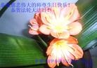 Published on 5/14/2013 ֹ,½󷨵ӹʦ𻪵߷ִ(31)
