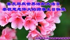 Published on 5/13/2013 ֹ,½󷨵ӹʦ𻪵߷ִ(34)
