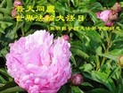 Published on 5/13/2013 ֹ,½󷨵ӹʦ𻪵߷ִ(34)
