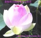 Published on 5/13/2013 ֹ,½󷨵ӹʦ𻪵߷ִ(39)
