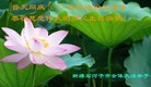 Published on 5/13/2013 ֹ,½󷨵ӹʦ𻪵߷ִ(39)
