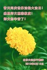 Published on 5/14/2013 ֹ,󷨵ӹʦ𻪵߷ִ(23)
