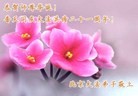 Published on 5/14/2013 ֹ,󷨵ӹʦ𻪵߷ִ(23)
