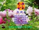 Published on 5/14/2013 ֹ,󷨵ӹʦ𻪵߷ִ(23)
