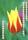 Published on 5/14/2013 ֹ,󷨵ӹʦ𻪵߷ִ(23)
