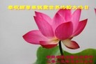 Published on 5/14/2013 ֹ,½󷨵ӹʦ𻪵߷ִ(92)
