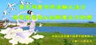 Published on 5/14/2013 ֹ,½󷨵ӹʦ𻪵߷ִ(92)
