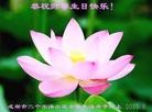 Published on 5/14/2013 ֹ,ɶ󷨵ӹʦ𻪵߷ִ(28)
