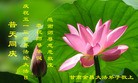 Published on 5/14/2013 ֹ,½󷨵ӹʦ𻪵߷ִ(92)
