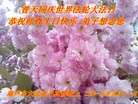 Published on 5/14/2013 ֹ,½󷨵ӹʦ𻪵߷ִ(93)
