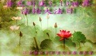 Published on 5/14/2013 ֹ,½󷨵ӹʦ𻪵߷ִ(93)
