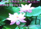 Published on 5/14/2013 ֹ,½󷨵ӹʦ𻪵߷ִ(93)
